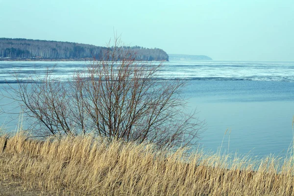 Rozwarstwienie Krajobrazu Rzeki Dryfujący Lód Wczesną Wiosną Drzewa Brzegu Bez — Zdjęcie stockowe