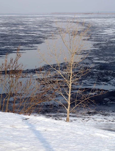 Disección Del Paisaje Fluvial Hielo Deriva Principios Primavera Los Árboles —  Fotos de Stock