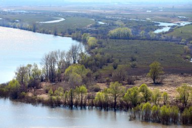 Nehrin bahar manzarası, Yelabuga civarındaki tarlalar ve ağaçlar.
