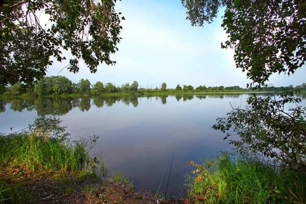 夏日的风景清澈清澈的水面上 一条清澈的河流和地平线上的树木在清早 — 图库照片