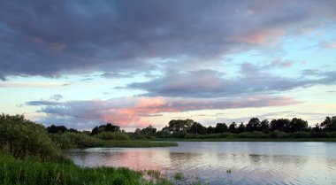Yaz manzarası güzel pembe gün batımı nehirde ve kıyıya yakın sazlıklar