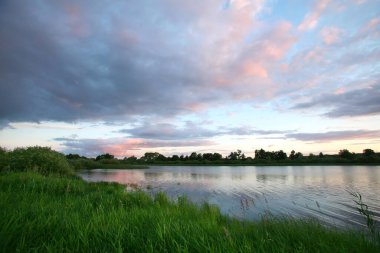 Yaz manzarası güzel pembe gün batımı nehirde ve kıyıya yakın sazlıklar