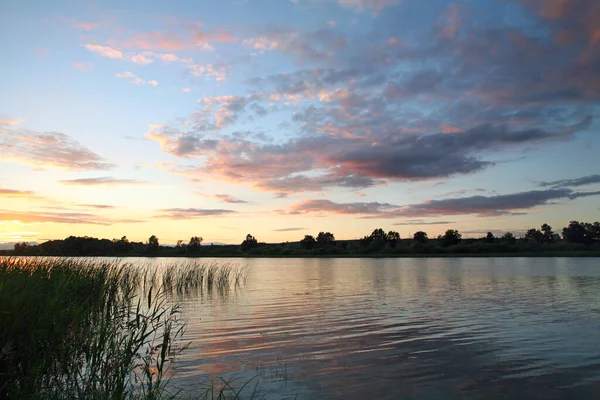 Summer Landscape Beautiful Pink Sunset River Reeds Shore — Stock Photo, Image