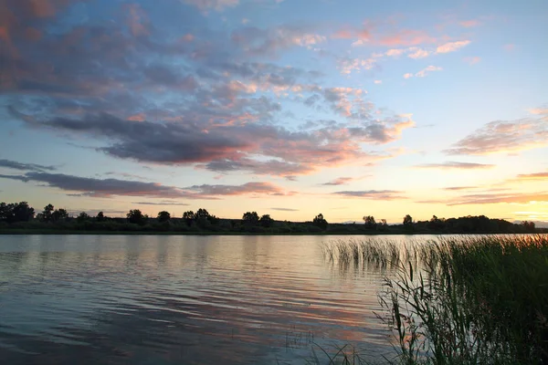 Paisaje Verano Hermoso Atardecer Rosa Río Cañas Cerca Orilla —  Fotos de Stock