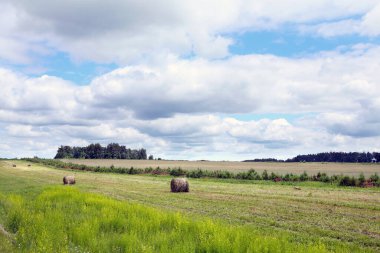 Çayırdaki saman yığınları ve bulutlu gökyüzü