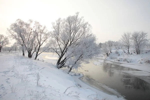 Winterlandschap Van Besneeuwde Velden Bomen Rivieren Vroege Mistige Ochtend — Stockfoto