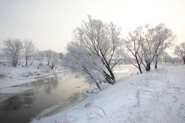 Zimowy Krajobraz Pokrytych Śniegiem Pól Drzew Rzeki Wczesnym Mglistym Poranku — Zdjęcie stockowe