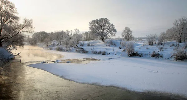 Winterlandschap Van Besneeuwde Velden Bomen Rivieren Vroege Mistige Ochtend — Stockfoto