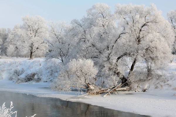 Winterlandschaft Mit Schneebedeckten Feldern Bäumen Und Fluss Frühen Nebligen Morgen — Stockfoto