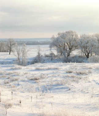Sabahın erken saatlerinde karla kaplı tarlalar, ağaçlar ve nehirlerin kış manzarası