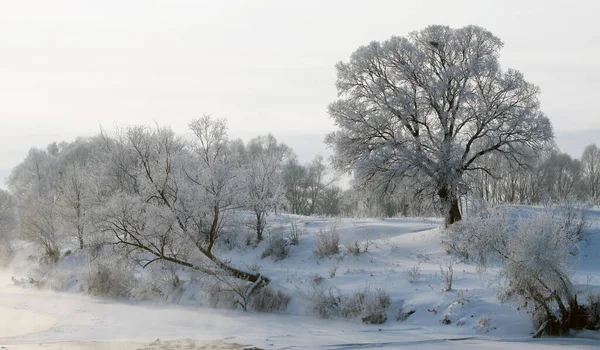 Vinterlandskap Snötäckta Fält Träd Och Flod Tidig Dimmig Morgon — Stockfoto