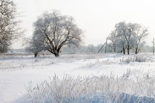 Paesaggio Invernale Campi Innevati Alberi Fiume Mattino Presto Nebbioso — Foto Stock