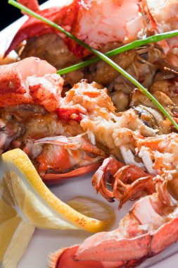 Limonlu makro ıstakoz. Beyaz bir tabakla süslenmiş. Arka planda karanlık bir stüdyoda.