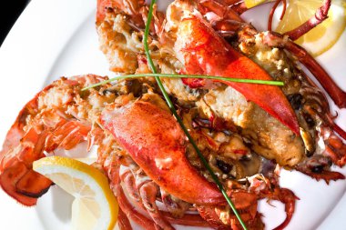 Limonlu makro ıstakoz. Beyaz bir tabakla süslenmiş. Arka planda karanlık bir stüdyoda.