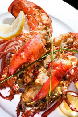 Limonlu makro ıstakoz. Beyaz bir tabakla süslenmiş. Arka planda karanlık bir stüdyoda.