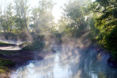 Yaz manzarası, şafak vakti nehrin yanındaki meşe korusunda yoğun sis.