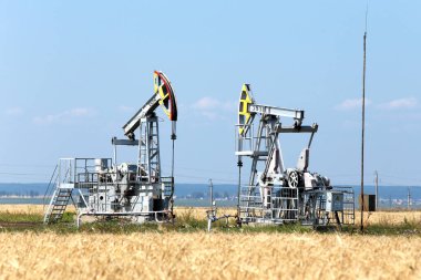Yazın, güneşli bir günde mavi gökyüzünün arka planındaki tahıl tarlalarına petrol pompalanıyor.