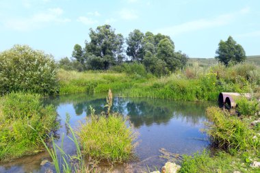 Güzel yaz manzarası küçük, sakin nehirler, ağaçlar ve gökyüzü yansıyor aynalı suya