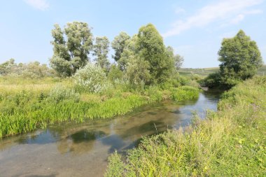 Güzel yaz manzarası küçük, sakin nehirler, ağaçlar ve gökyüzü yansıyor aynalı suya