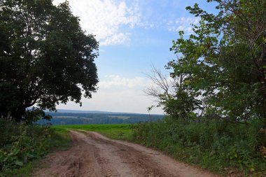 Bulutlu bir günde çayırların ve ormanların arasındaki toprak yol.