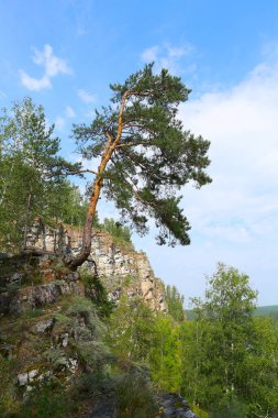 Yaz dağı manzarası Urallar 'daki İdrissova Mağarası, nehir ve orman güneşli bir günde tepeden manzara