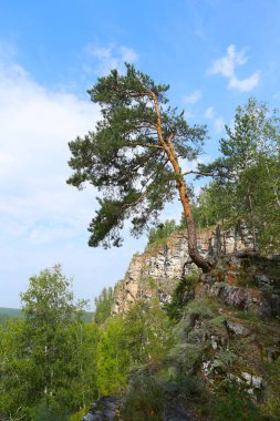 Yaz dağı manzarası Urallar 'daki İdrissova Mağarası, nehir ve orman güneşli bir günde tepeden manzara