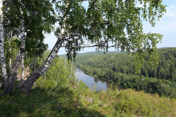 Krásná Letní Krajina Březový Háj Urale Jasného Slunečného Dne — Stock fotografie