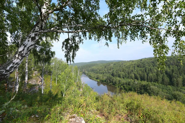 Vacker Sommar Landskap Björk Lund Uralbergen Klar Solig Dag — Stockfoto