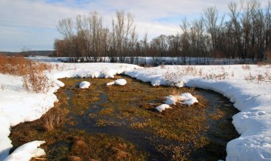 Nehir boyunca yürü ılık bahar günü