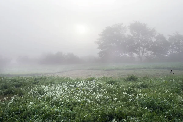 Sehr Schöne Landschaft Frühen Nebligen Morgen Tatarstan — Stockfoto