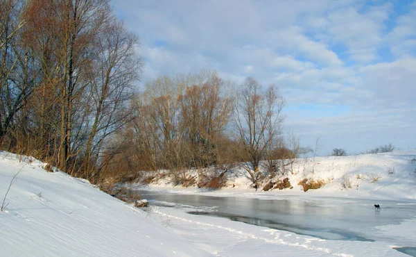 Walk River Warm Spring Day — Stock Photo, Image