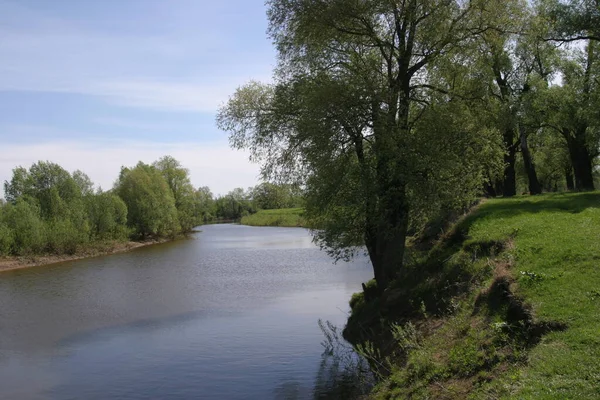 Prachtig Zomers Landschap Met Rivier Steile Oever — Stockfoto