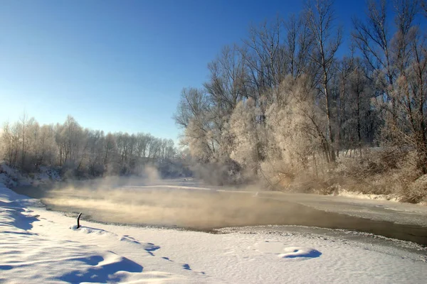 Scenic Winter Landscape River Trees Consecrated Rising Sun — Stock Photo, Image