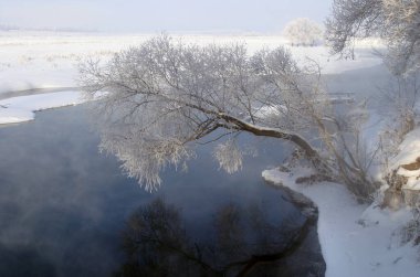 Kış, sisli bir sabahta nehir boyunca yürür