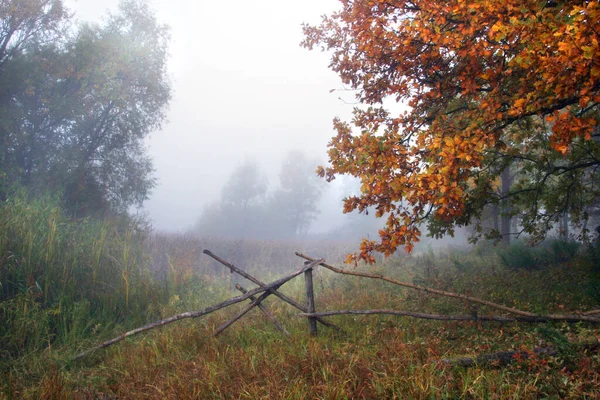 Very Beautiful Landscape Early Misty Morning Tatarstan — Stock Photo, Image