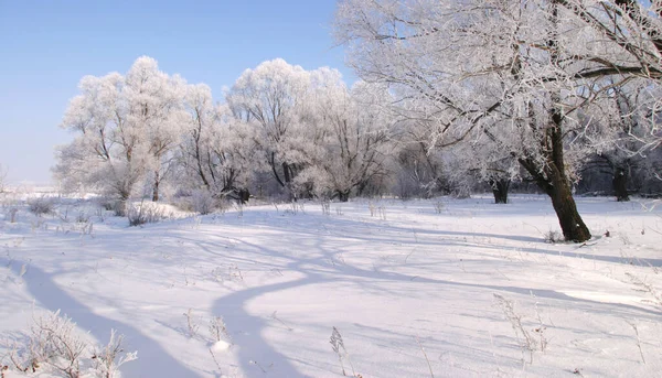 Beaux Paysages Hiver Par Temps Clair — Photo