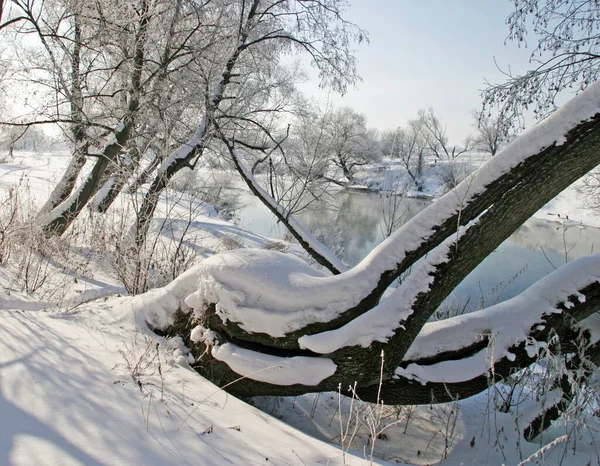 Winterspaziergang Entlang Des Flusses Einem Nebligen Morgen — Stockfoto