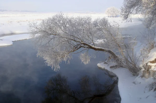 Kış, sisli bir sabahta nehir boyunca yürür