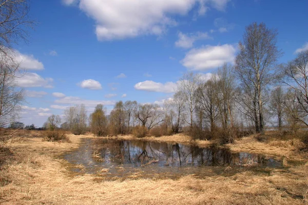 Beautiful Spring Landscapes Captured Melting Snow — Stock Photo, Image