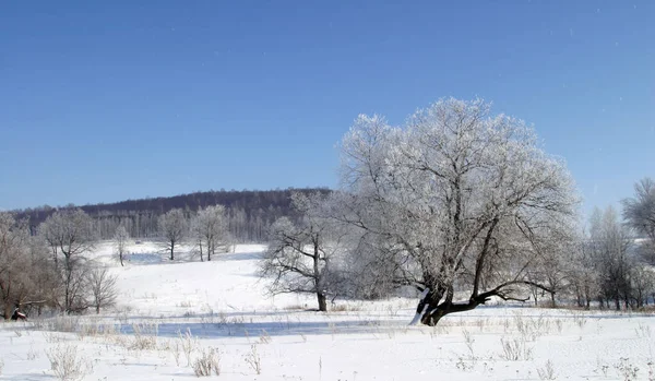 Vackra Vinterlandskap Tas Klar Dag — Stockfoto
