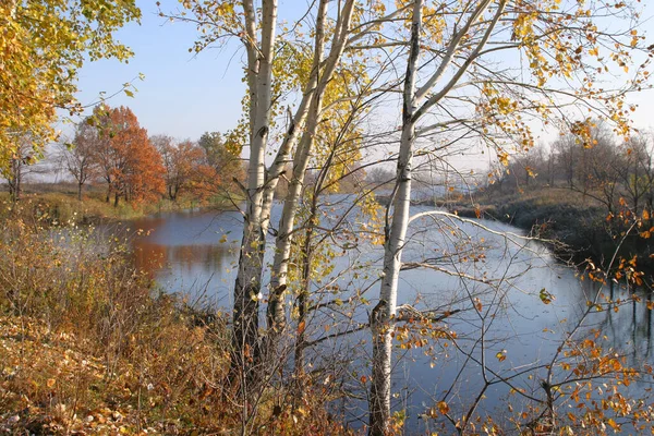 Paesaggio Autunnale Del Fiume Gli Alberi Una Giornata Sole — Foto Stock