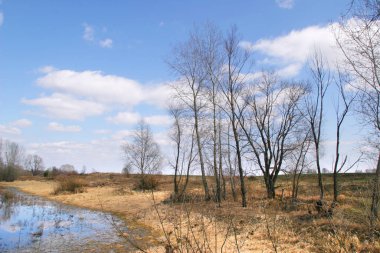 Karların erimesi sırasında yakalanan güzel bahar manzaraları