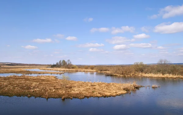 Frühling Überschwemmt Fluss Einem Sonnigen Tag — Stockfoto