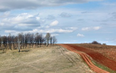 Uçsuz bucaksız Rus tarlalarında bahar yürüyüşü