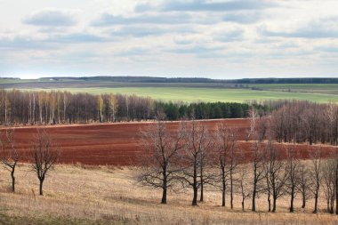Uçsuz bucaksız Rus tarlalarında bahar yürüyüşü