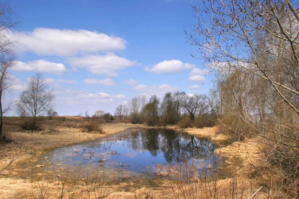 Beautiful Spring Landscapes Captured Melting Snow — Stock Photo, Image