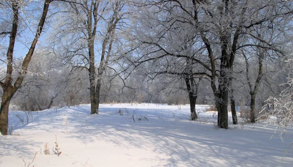 Lindas Paisagens Inverno Tomadas Dia Claro — Fotografia de Stock