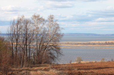 Ormanda ve tarlalarda uzun sonbahar yürüyüşü