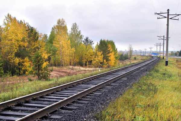 Paesaggio Autunnale Lungo Ferrovia Boschi Misti — Foto Stock