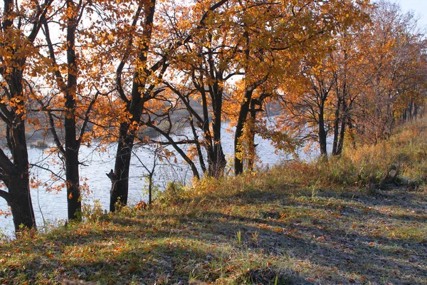 秋天的风景 河流和树木在阳光灿烂的日子里 — 图库照片